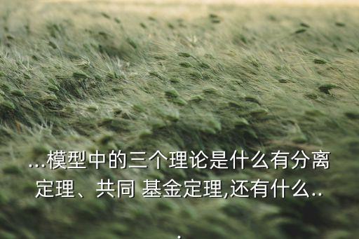 ...模型中的三個(gè)理論是什么有分離定理、共同 基金定理,還有什么...