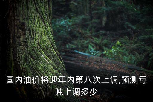 國內(nèi)油價將迎年內(nèi)第八次上調(diào),預測每噸上調(diào)多少