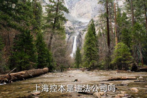  上?？乇臼沁`法公司嗎