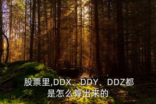  股票里,DDX、DDY、DDZ都是怎么算出來的