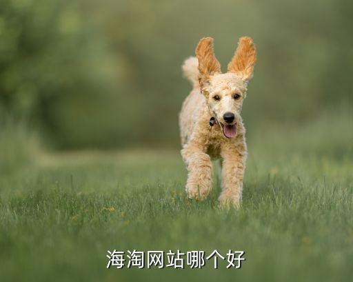 上?？缇畴娚躺鲜泄?跨境電商的上市公司龍頭股
