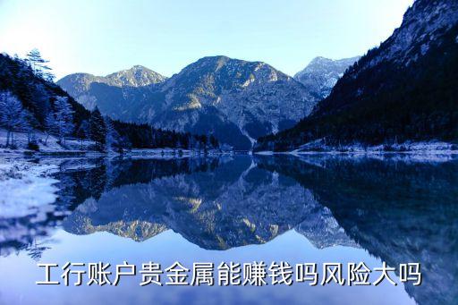 工行賬戶貴金屬能賺錢(qián)嗎風(fēng)險(xiǎn)大嗎