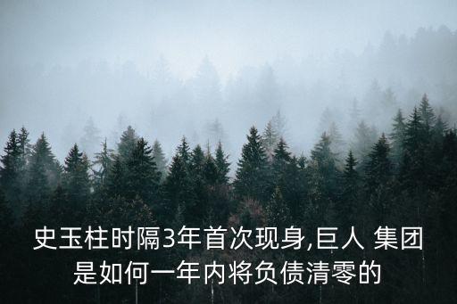 史玉柱時隔3年首次現(xiàn)身,巨人 集團是如何一年內(nèi)將負(fù)債清零的