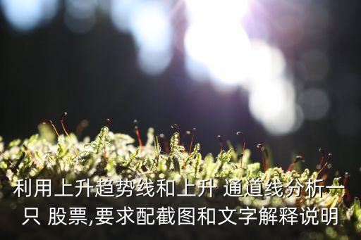 利用上升趨勢(shì)線和上升 通道線分析一只 股票,要求配截圖和文字解釋說明