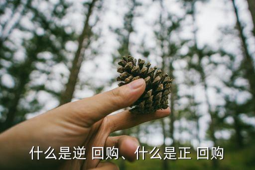 什么是逆 回購(gòu)、什么是正 回購(gòu)