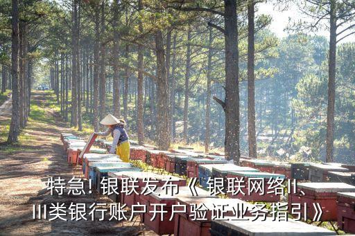 特急! 銀聯(lián)發(fā)布《 銀聯(lián)網(wǎng)絡(luò)II、III類銀行賬戶開戶驗(yàn)證業(yè)務(wù)指引》