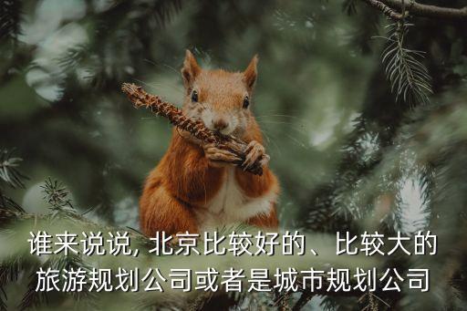 誰來說說, 北京比較好的、比較大的旅游規(guī)劃公司或者是城市規(guī)劃公司