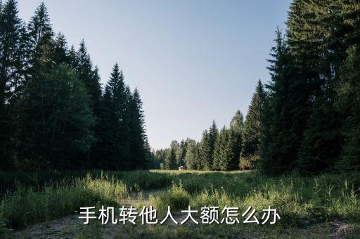 手機轉他人大額怎么辦