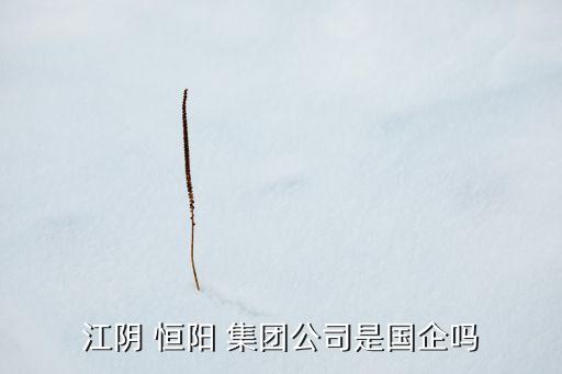 江陰 恒陽 集團(tuán)公司是國(guó)企嗎