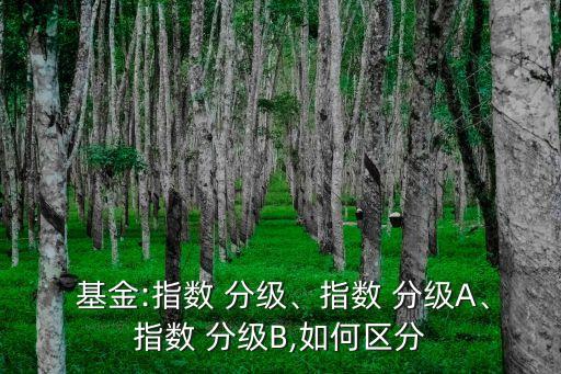  基金:指數(shù) 分級、指數(shù) 分級A、指數(shù) 分級B,如何區(qū)分