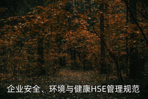 企業(yè)安全、環(huán)境與健康HSE管理規(guī)范
