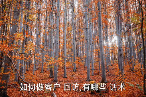 如何做客戶(hù) 回訪(fǎng),有哪些 話(huà)術(shù)