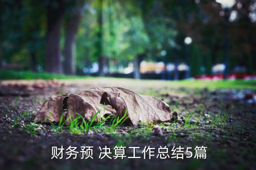  財務預 決算工作總結(jié)5篇