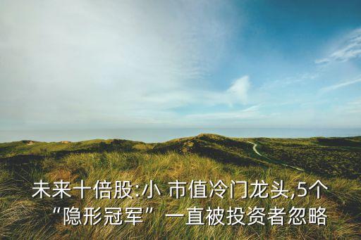 未來(lái)十倍股:小 市值冷門龍頭,5個(gè)“隱形冠軍”一直被投資者忽略