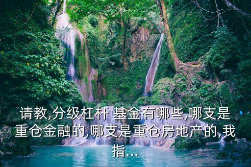 請(qǐng)教,分級(jí)杠桿 基金有哪些,哪支是重倉金融的,哪支是重倉房地產(chǎn)的,我指...