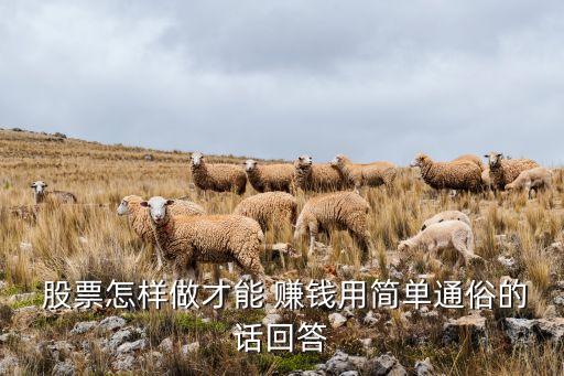  股票怎樣做才能 賺錢用簡(jiǎn)單通俗的話回答