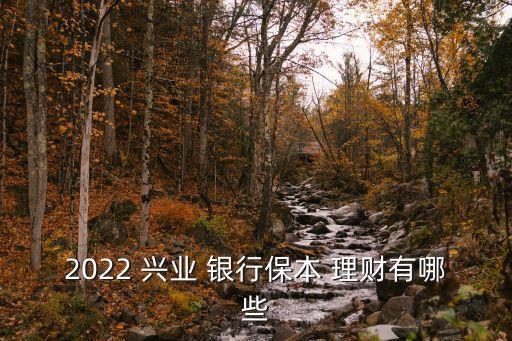興業(yè)銀行安邦理財產品,2022興業(yè)銀行最好的理財產品