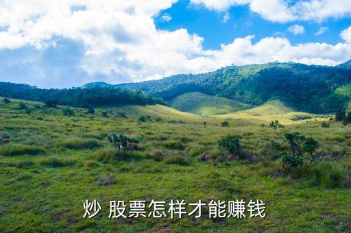 炒 股票怎樣才能賺錢(qián)