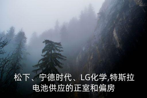  松下、寧德時代、LG化學(xué),特斯拉電池供應(yīng)的正室和偏房