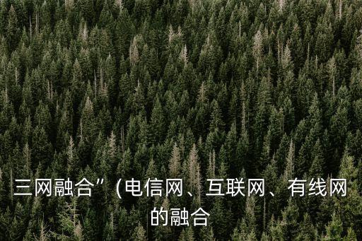 三網(wǎng)融合”(電信網(wǎng)、互聯(lián)網(wǎng)、有線網(wǎng)的融合