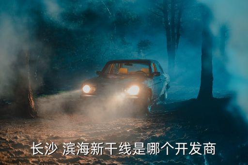 長(zhǎng)沙 濱海新干線(xiàn)是哪個(gè)開(kāi)發(fā)商