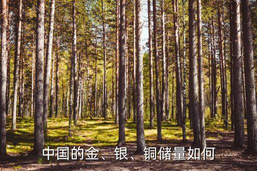 中國的金、銀、銅儲(chǔ)量如何