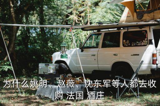 為什么姚明、趙薇、沈東軍等人都去收購 法國 酒莊