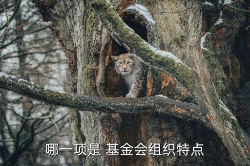 哪一項(xiàng)是 基金會組織特點(diǎn)