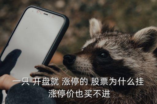 一只 開(kāi)盤(pán)就 漲停的 股票為什么掛 漲停價(jià)也買(mǎi)不進(jìn)