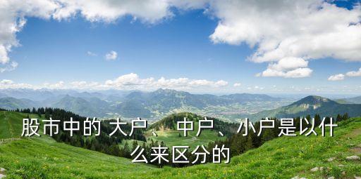 股市中的 大戶、 中戶、小戶是以什么來區(qū)分的