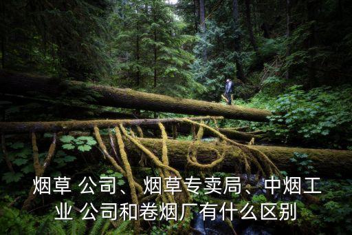  煙草 公司、 煙草專賣局、中煙工業(yè) 公司和卷煙廠有什么區(qū)別