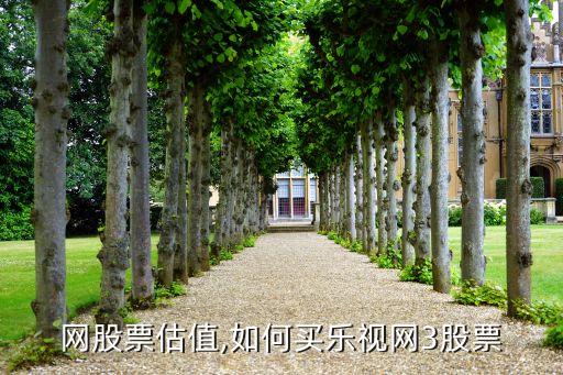 樂(lè)視網(wǎng)股票估值,如何買樂(lè)視網(wǎng)3股票