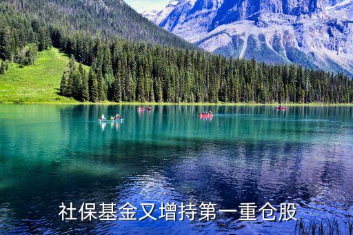  社?；鹩衷龀值谝恢貍}股
