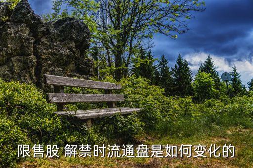限售股 解禁時(shí)流通盤(pán)是如何變化的