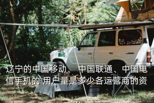 遼寧的中國移動(dòng)、 中國聯(lián)通、中國電信手機(jī)的 用戶量是多少各運(yùn)營商的資...