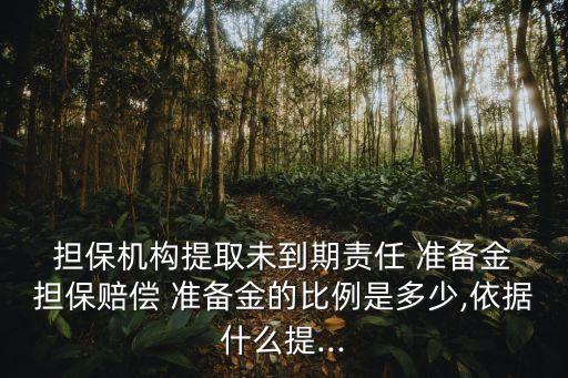 擔(dān)保公司準備金