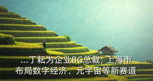 ...丁耘為企業(yè)BG總裁; 上海市布局?jǐn)?shù)字經(jīng)濟(jì)、元宇宙等新賽道