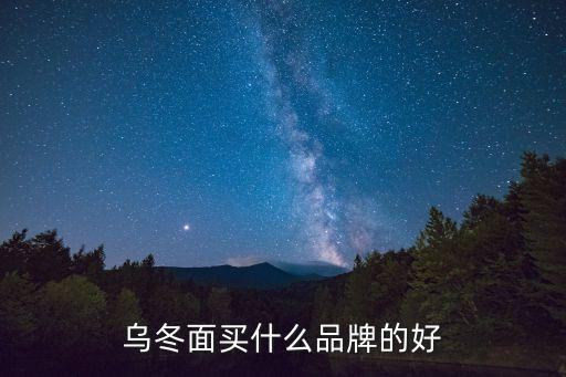 烏冬面買(mǎi)什么品牌的好