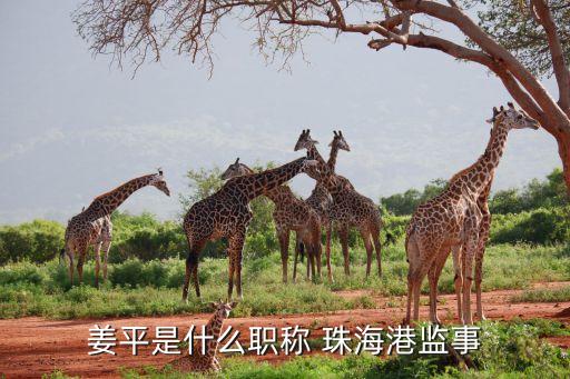 姜平是什么職稱(chēng) 珠海港監(jiān)事