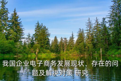 我國企業(yè)電子商務發(fā)展現狀、存在的問題及解決對策 研究