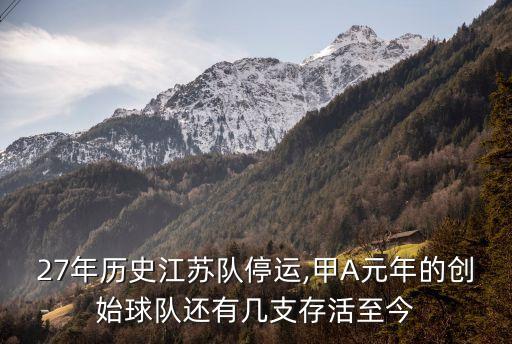 江蘇舜天中國網