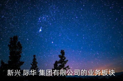 新興 際華 集團有限公司的業(yè)務板塊