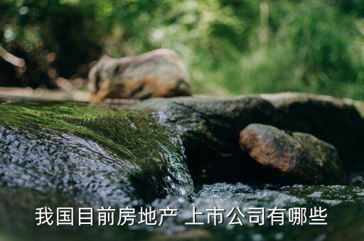我國目前房地產 上市公司有哪些
