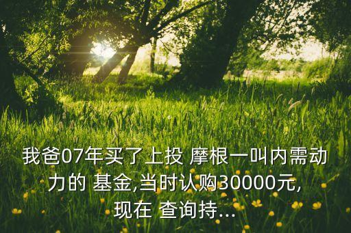 我爸07年買了上投 摩根一叫內(nèi)需動力的 基金,當(dāng)時(shí)認(rèn)購30000元,現(xiàn)在 查詢持...