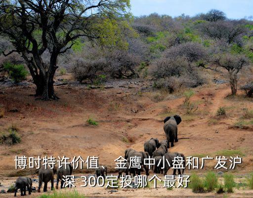  博時特許價值、金鷹中小盤和廣發(fā)滬深 300定投哪個最好
