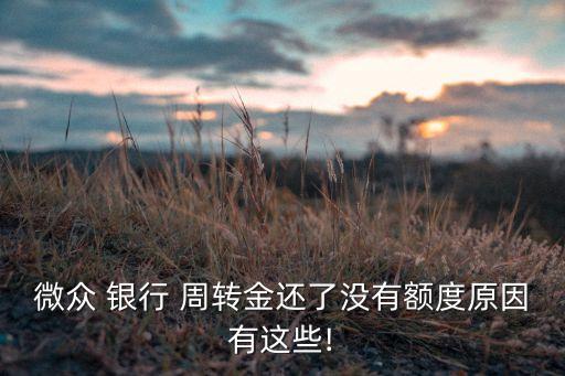 微眾 銀行 周轉(zhuǎn)金還了沒(méi)有額度原因有這些!