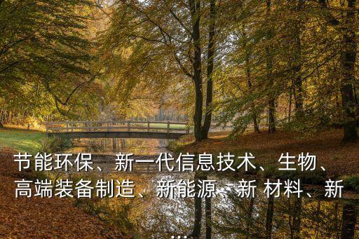 節(jié)能環(huán)保、新一代信息技術(shù)、生物、 高端裝備制造、新能源、新 材料、新...