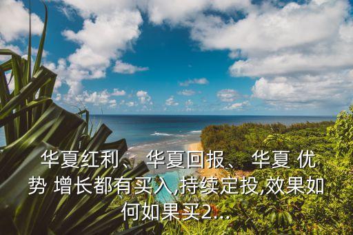  華夏紅利、 華夏回報(bào)、 華夏 優(yōu)勢(shì) 增長(zhǎng)都有買(mǎi)入,持續(xù)定投,效果如何如果買(mǎi)2...