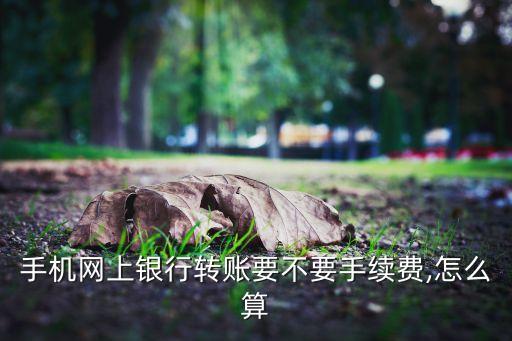 手機網(wǎng)上銀行轉賬要不要手續(xù)費,怎么算