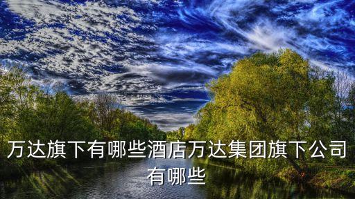萬達(dá)旗下有哪些酒店萬達(dá)集團旗下公司有哪些